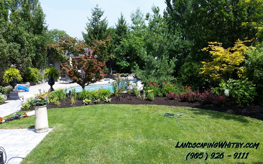 Pool Landscaping and Flower Beds